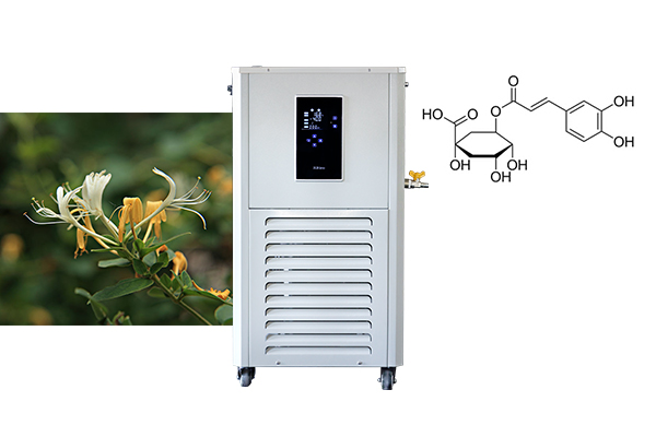 低温冷却循环泵应用于金银花绿原酸提取实验中